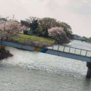 ヒメ日記 2025/04/12 15:44 投稿 すずか 美熟女倶楽部Hip's 春日部店