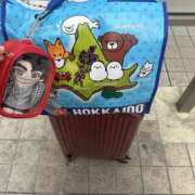 ヒメ日記 2025/04/22 12:34 投稿 すずか 美熟女倶楽部Hip's 春日部店