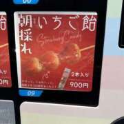 ヒメ日記 2025/04/23 13:14 投稿 すずか 美熟女倶楽部Hip's 春日部店