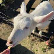 ヒメ日記 2025/05/19 11:14 投稿 すずか 美熟女倶楽部Hip's 春日部店