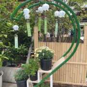 ヒメ日記 2025/06/02 11:04 投稿 すずか 美熟女倶楽部Hip's 春日部店