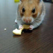 ヒメ日記 2025/06/06 18:24 投稿 すずか 美熟女倶楽部Hip's 春日部店