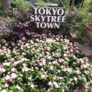 ヒメ日記 2025/06/16 21:24 投稿 すずか 美熟女倶楽部Hip's 春日部店