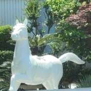 ヒメ日記 2025/06/17 16:04 投稿 すずか 美熟女倶楽部Hip's 春日部店