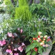 ヒメ日記 2025/06/23 11:34 投稿 すずか 美熟女倶楽部Hip's 春日部店