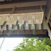 ヒメ日記 2025/07/31 16:25 投稿 すずか 美熟女倶楽部Hip's 春日部店