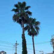 ヒメ日記 2025/08/25 18:24 投稿 すずか 美熟女倶楽部Hip's 春日部店