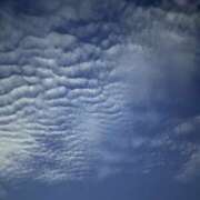 ヒメ日記 2025/09/26 06:39 投稿 すずか 美熟女倶楽部Hip's 春日部店