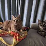 ヒメ日記 2025/10/18 09:52 投稿 すずか 美熟女倶楽部Hip's 春日部店