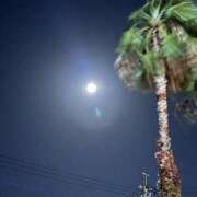 ヒメ日記 2025/11/08 06:42 投稿 すずか 美熟女倶楽部Hip's 春日部店