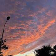 ヒメ日記 2026/01/24 18:32 投稿 すずか 美熟女倶楽部Hip's 春日部店