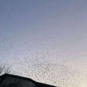 ヒメ日記 2026/02/03 18:02 投稿 すずか 美熟女倶楽部Hip's 春日部店