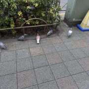 ヒメ日記 2026/02/10 20:20 投稿 すずか 美熟女倶楽部Hip's 春日部店