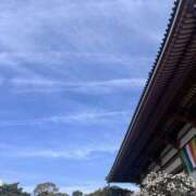 ヒメ日記 2026/02/19 08:05 投稿 すずか 美熟女倶楽部Hip's 春日部店