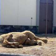 ヒメ日記 2026/02/21 18:02 投稿 すずか 美熟女倶楽部Hip's 春日部店