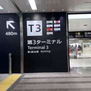 ヒメ日記 2026/03/21 10:52 投稿 すずか 美熟女倶楽部Hip's 春日部店