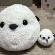 ヒメ日記 2026/03/27 09:43 投稿 すずか 美熟女倶楽部Hip's 春日部店