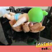 ヒメ日記 2025/02/13 06:34 投稿 きゅあ ラブライフ越谷