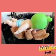 ヒメ日記 2025/01/31 08:04 投稿 きゅあ ラブライフ所沢川越