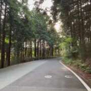 ヒメ日記 2025/05/06 00:13 投稿 きゅあ ラブライフ所沢川越