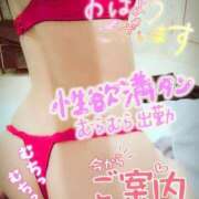 ヒメ日記 2025/10/01 15:25 投稿 速水（はやみ） 熟女の風俗最終章 大宮店