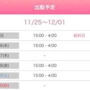 ヒメ日記 2025/11/25 23:00 投稿 速水（はやみ） 熟女の風俗最終章 大宮店