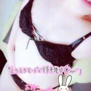 ヒメ日記 2026/02/12 01:55 投稿 速水（はやみ） 熟女の風俗最終章 大宮店