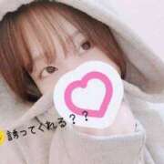 ヒメ日記 2024/12/14 18:50 投稿 える 新橋ハートクリニック（シンデレラグループ）