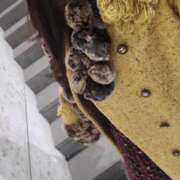 ヒメ日記 2025/01/06 16:44 投稿 れいこ 性腺熟女100％（デリヘル市場）