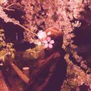 ヒメ日記 2025/04/29 15:34 投稿 伊吹真菜 お姉さんCLUB