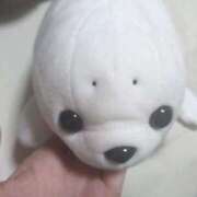 ヒメ日記 2025/09/06 03:45 投稿 二階堂みさき ヴェルファーレーVELFARREー鹿児島