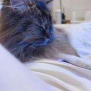 ヒメ日記 2025/03/08 13:00 投稿 花宮 BBW横浜店