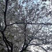 ヒメ日記 2025/04/05 20:35 投稿 花宮 BBW横浜店