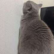 ヒメ日記 2025/07/30 10:16 投稿 花宮 BBW横浜店