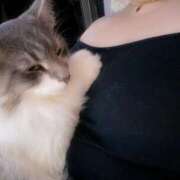 ヒメ日記 2025/11/01 16:45 投稿 花宮 BBW横浜店