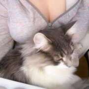 ヒメ日記 2025/11/22 08:26 投稿 花宮 BBW横浜店