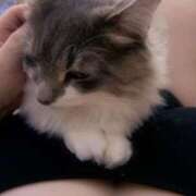 ヒメ日記 2026/02/14 16:08 投稿 花宮 BBW横浜店