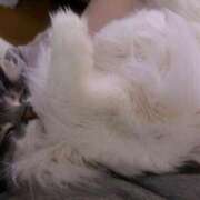 花宮 ✎︎ 受付終了🤍 BBW横浜店