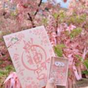 サチ ??土日は出勤します?? 池袋人妻ヒットパレード（シンデレラグループ）