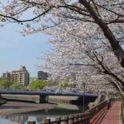 ヒメ日記 2025/03/12 23:30 投稿 水瀬つばさ ヴェルファーレーVELFARREー鹿児島