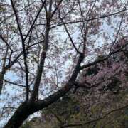 ヒメ日記 2026/03/07 20:29 投稿 水瀬つばさ ヴェルファーレーVELFARREー鹿児島