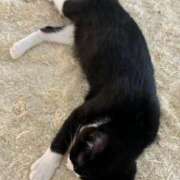 ヒメ日記 2024/12/13 20:02 投稿 新人 ゆうり DIVA-ディーバ-【DIVAグループ】