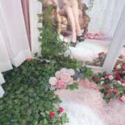 ヒメ日記 2024/12/17 01:38 投稿 新人 ゆうり DIVA-ディーバ-【DIVAグループ】