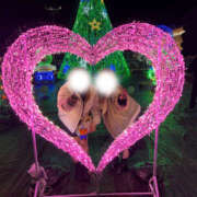 ヒメ日記 2025/12/20 13:35 投稿 咲良ひな DEEPS成田店