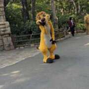 ヒメ日記 2025/03/30 21:05 投稿 椿えれん DEEPS成田店