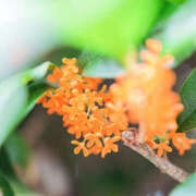 ヒメ日記 2025/02/01 20:05 投稿 山井しろ DEEPS成田店