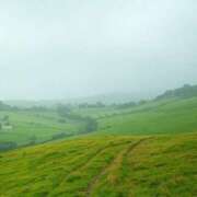 ヒメ日記 2025/04/13 15:45 投稿 山井しろ DEEPS成田店