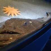 ヒメ日記 2025/02/26 17:55 投稿 西野はるか DEEPS成田店