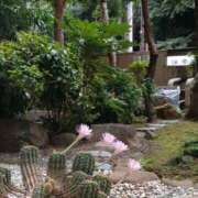 ヒメ日記 2025/06/29 05:35 投稿 西野はるか DEEPS成田店