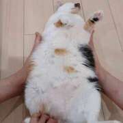 ヒメ日記 2025/08/01 17:15 投稿 西野はるか DEEPS成田店